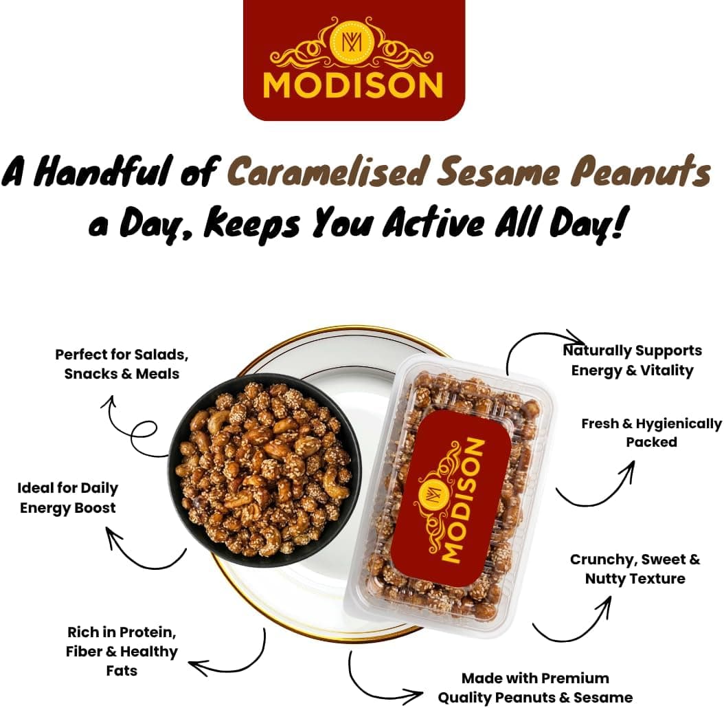 BalGokul Foods Caramelised Sesame Peanuts Indian Snacks Sweet Crunchy 400g thumbnail 10