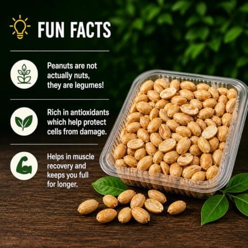 BalGokul Foods Roasted Peanuts Healthy Snacks Protein Rich Groundnuts 250g product image 6