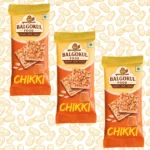 BalGokul Foods Peanut Chikki - Image 3