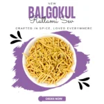 BalGokul Foods Ratlami Sev - Image 2